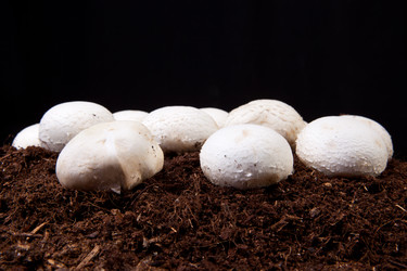 Similar image 12997316