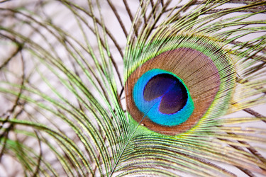 Similar image 12986079