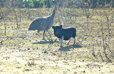 Similar image 12992943