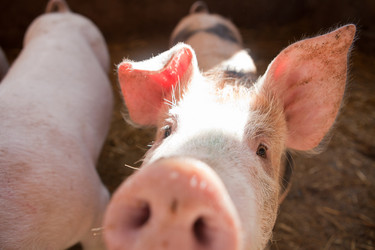 Similar image 12997225