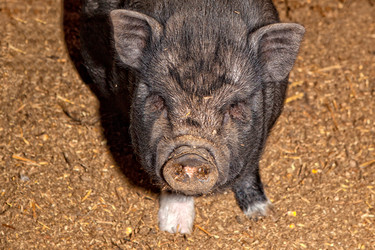 Similar image 12997283