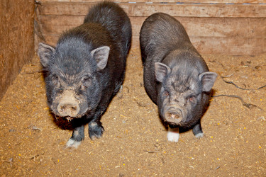 Similar image 12997317