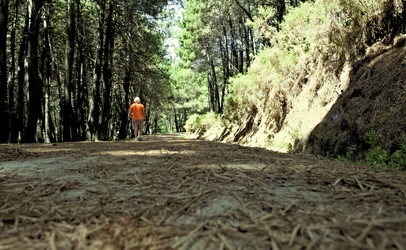 Similar image 12979677