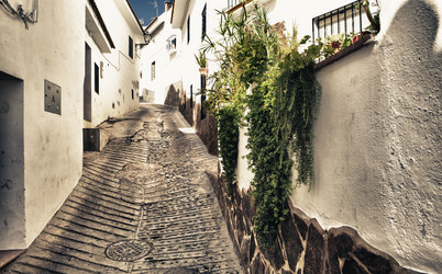 Similar image 12979936