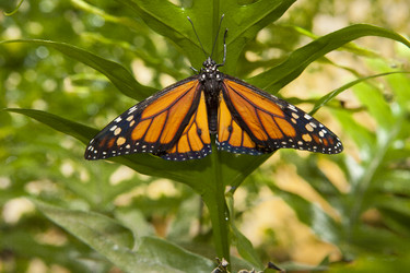 Similar image 12986081