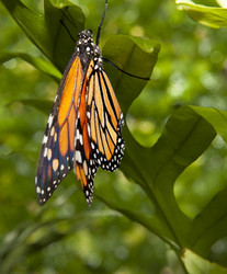 Similar image 12986098