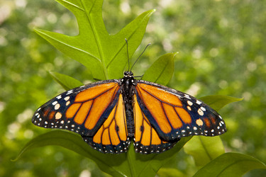 Similar image 12986115