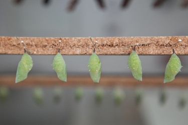 Similar image 12992947