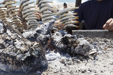 Similar image 12997208