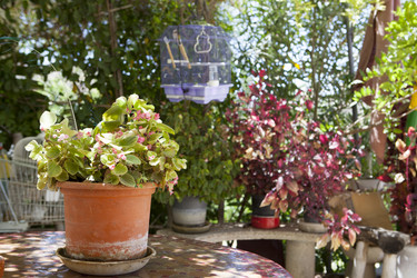 Similar image 12997307