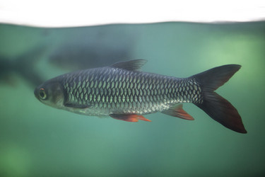 Similar image 12997319