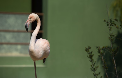 Similar image 12986082