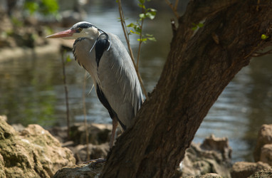 Similar image 12997268