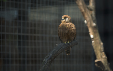 Similar image 12997308