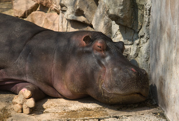 Similar image 12979941