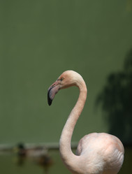 Similar image 12979664