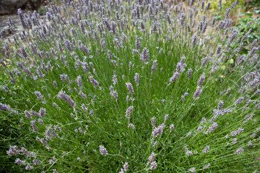 Similar image 12982913