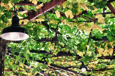 Similar image 12979643