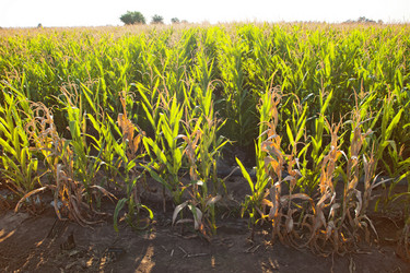 Similar image 12979705