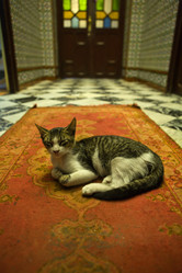 Similar image 12982972