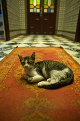 Similar image 12986083