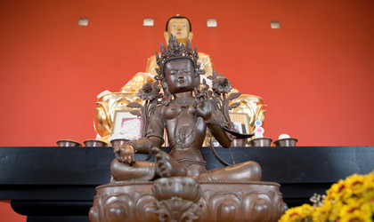 Similar image 12979686