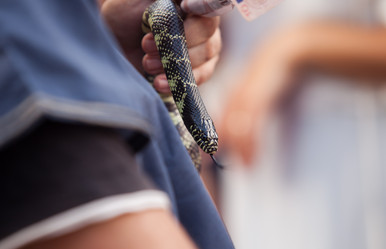 Similar image 12986120