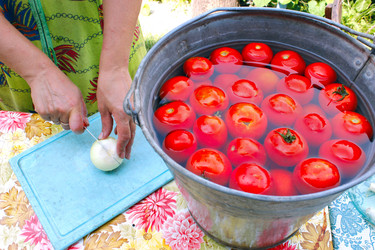 Similar image 12978542