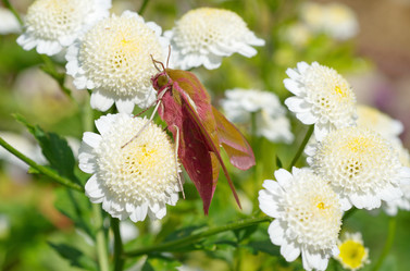 Similar image 12694441