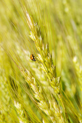 Similar image 12694442