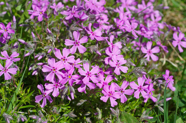 Similar image 13000255