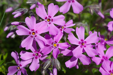 Similar image 12997081