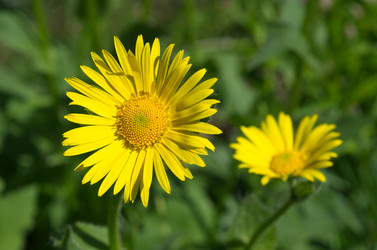 Similar image 13000256