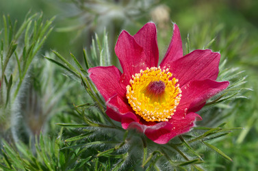 Similar image 12997082