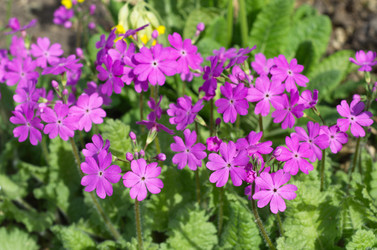 Similar image 13000258