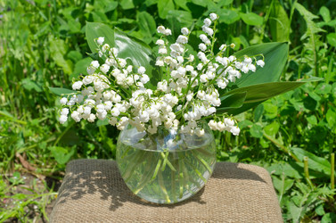 Similar image 12694444