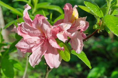 Similar image 12987197