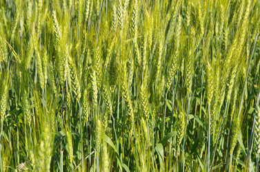 Similar image 13000259