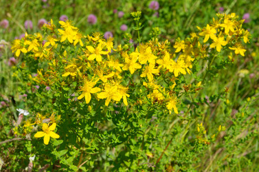 Similar image 13000260