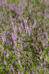 Similar image 12694447