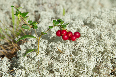 Similar image 12694448