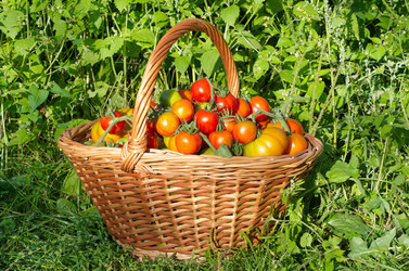 Similar image 12694450