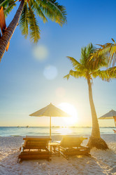 Similar image 12995728