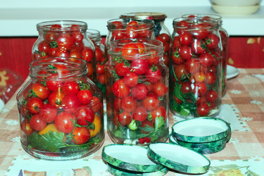 Similar image 12978525