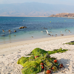 Similar image 12984127