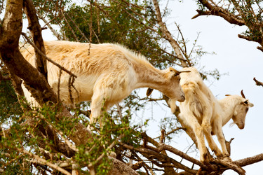 Similar image 12984147