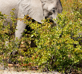 Similar image 12984191