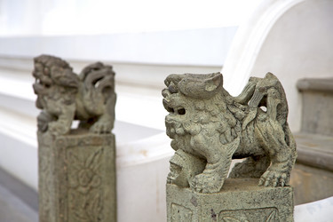 Similar image 12984164