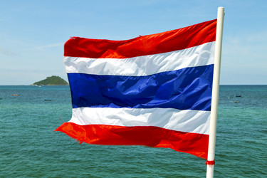 Similar image 12984179