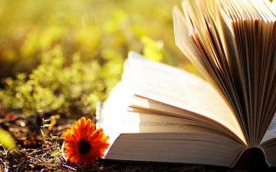 Similar image 12696928